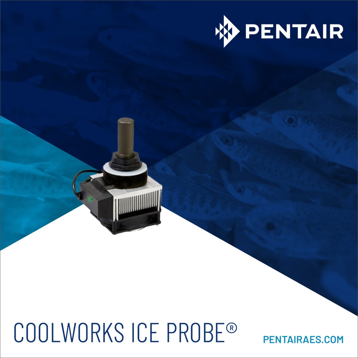 The Coolworks Ice Probe® is a compact and efficient cooling solution for #aquariums, bait #tanks, #hydroponics, &amp; potable #water systems. With advanced #thermoelectric technology, it can cool up to 10 gallons of water by 20ºF below temperature.

SHOP NOW: bit.ly/40Bbfla