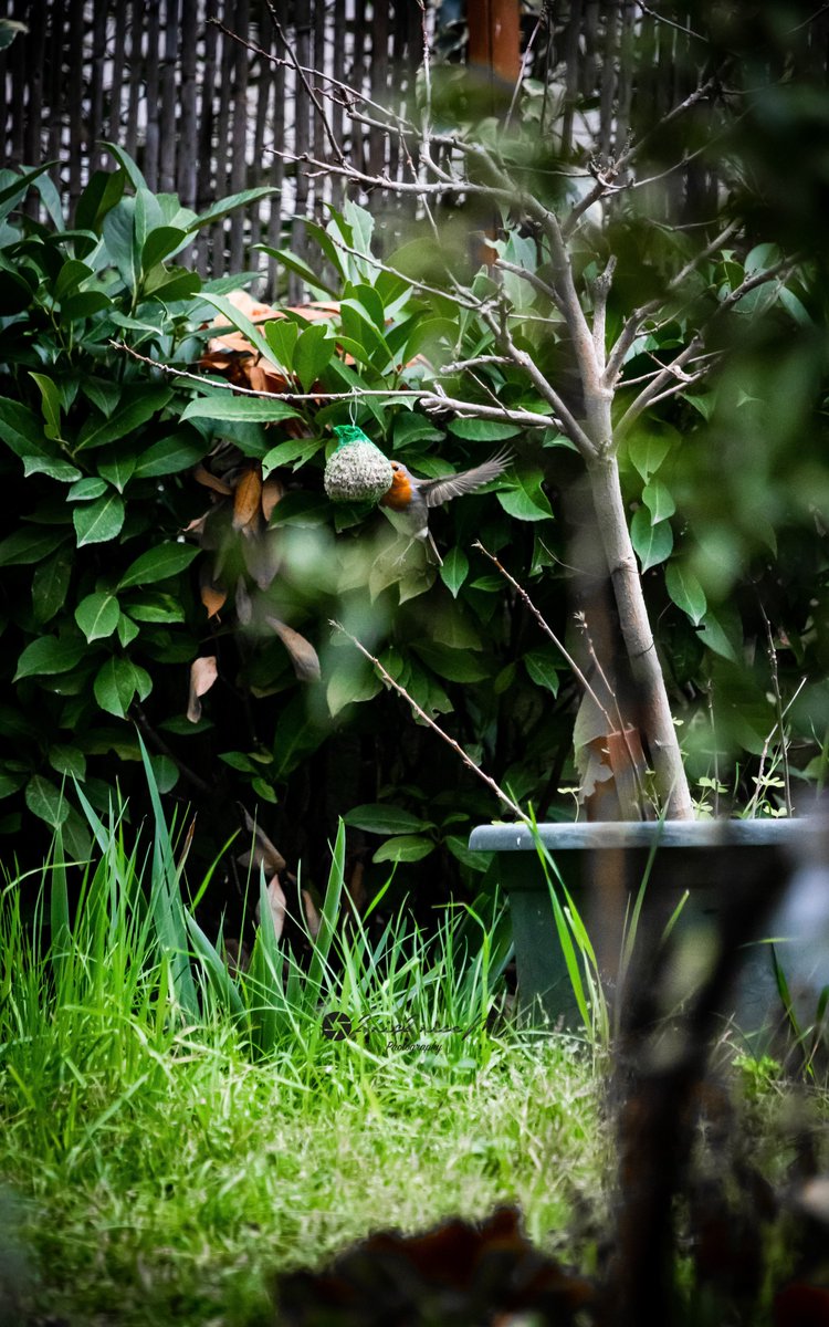 Dénis (@2nis_2nice) on Twitter photo 