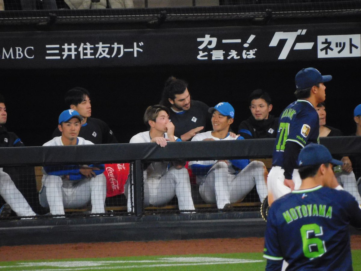 SUMINAFHERO61's tweet photo. #2023年03月26日
#LoveFighters
#コディ・ポンセ
#石井一成
#sec135
#外野レフト1階席
#4列目
ポンセが痛い?ごめんね?みたいになってたのかわいい https://t.co/Mzz8TOto1D
