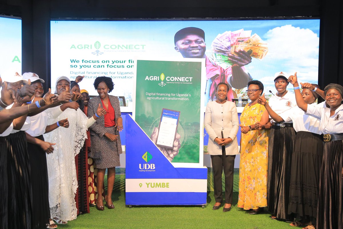 Evelyn AnitE tweet media