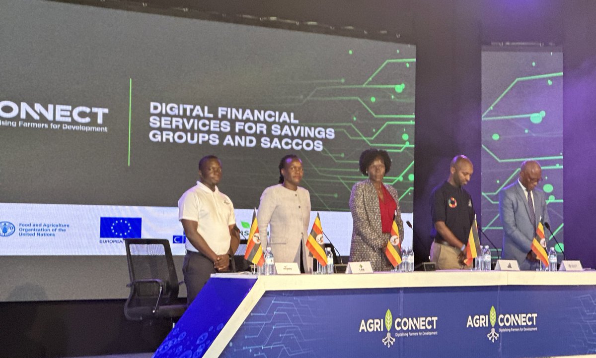 Evelyn AnitE tweet media