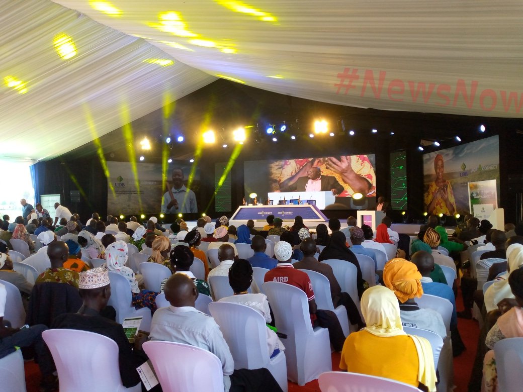 Evelyn AnitE tweet media