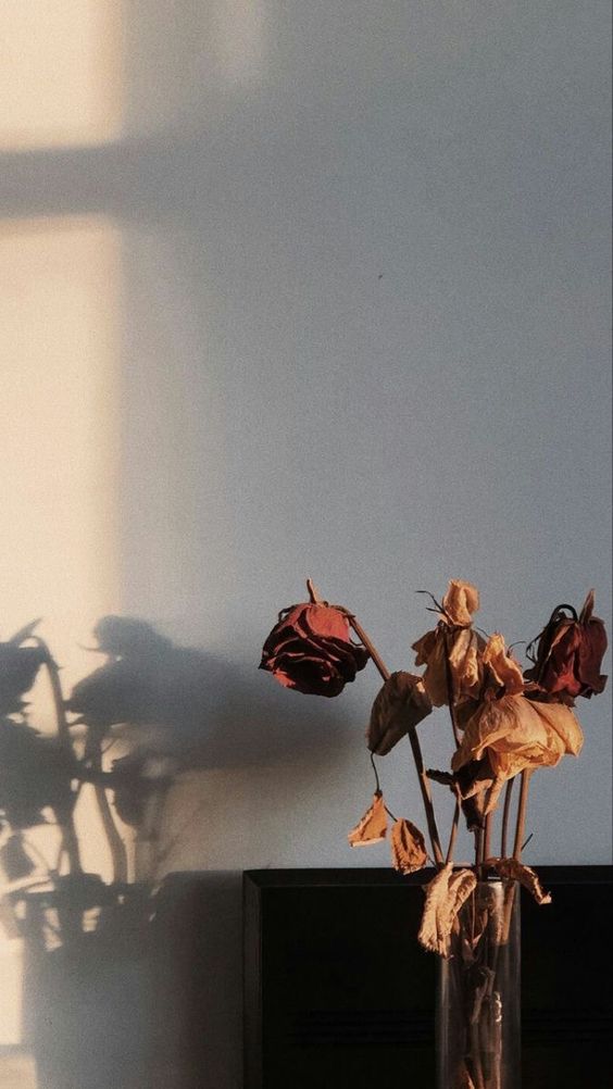 — ชายฟ้า 。 (@ofdoctorjaeger) on Twitter photo 