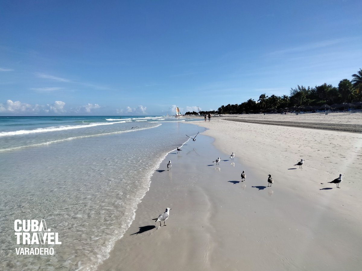 Bonne semaine à vous qui nous suivez, nous vous attendons à #Varaderotravel, #CubaÚnica.