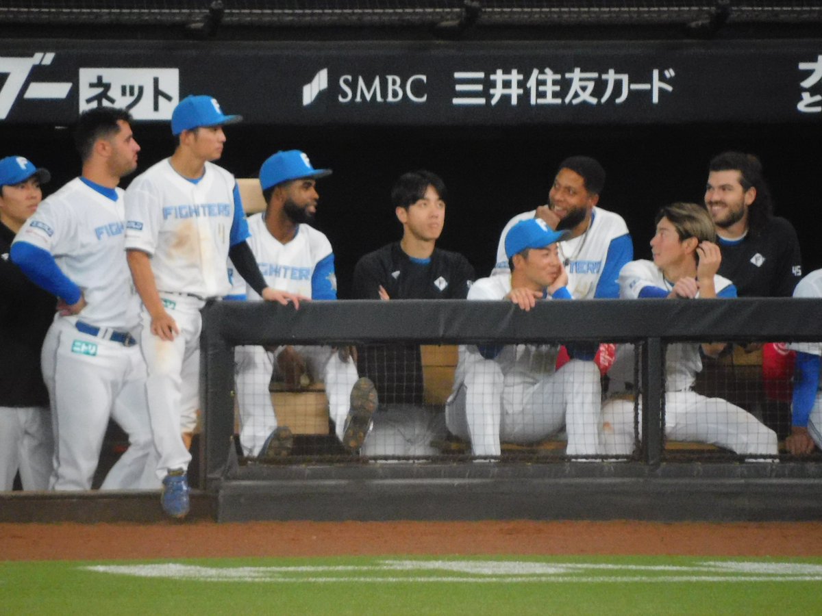SUMINAFHERO61's tweet photo. #2023年03月26日
#LoveFighters
#松本剛
#アリエル・マルティネス
#上川畑大悟
#アリスメンディ・アルカンタラ
#北山亘基
#ブライアン・ロドリゲス
#コディ・ポンセ
#sec135
#外野レフト1階席
#4列目
外国人選手に混じって楽しそうな松本さん。もしかして英語結構聞き取れる人?? https://t.co/Cg9M4RSuEg