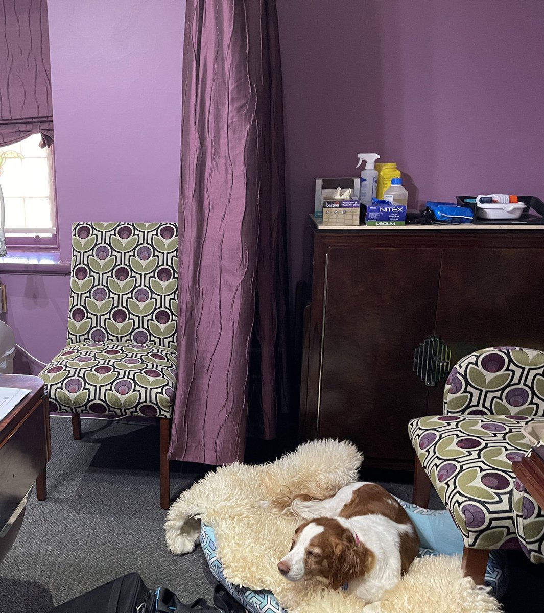 Todd Manning tweet media