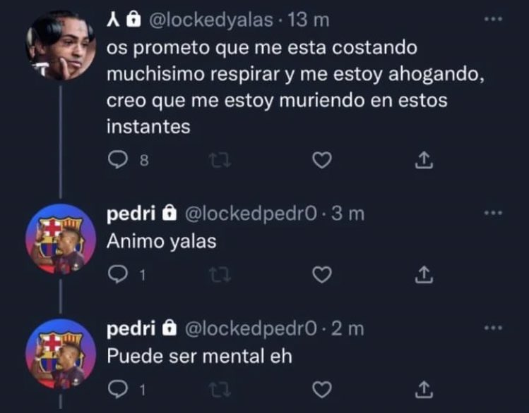 Pedrito El Anónimo Highlights tweet media