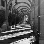 Image for the Tweet beginning: « Arcades »
Palermo - Octobre