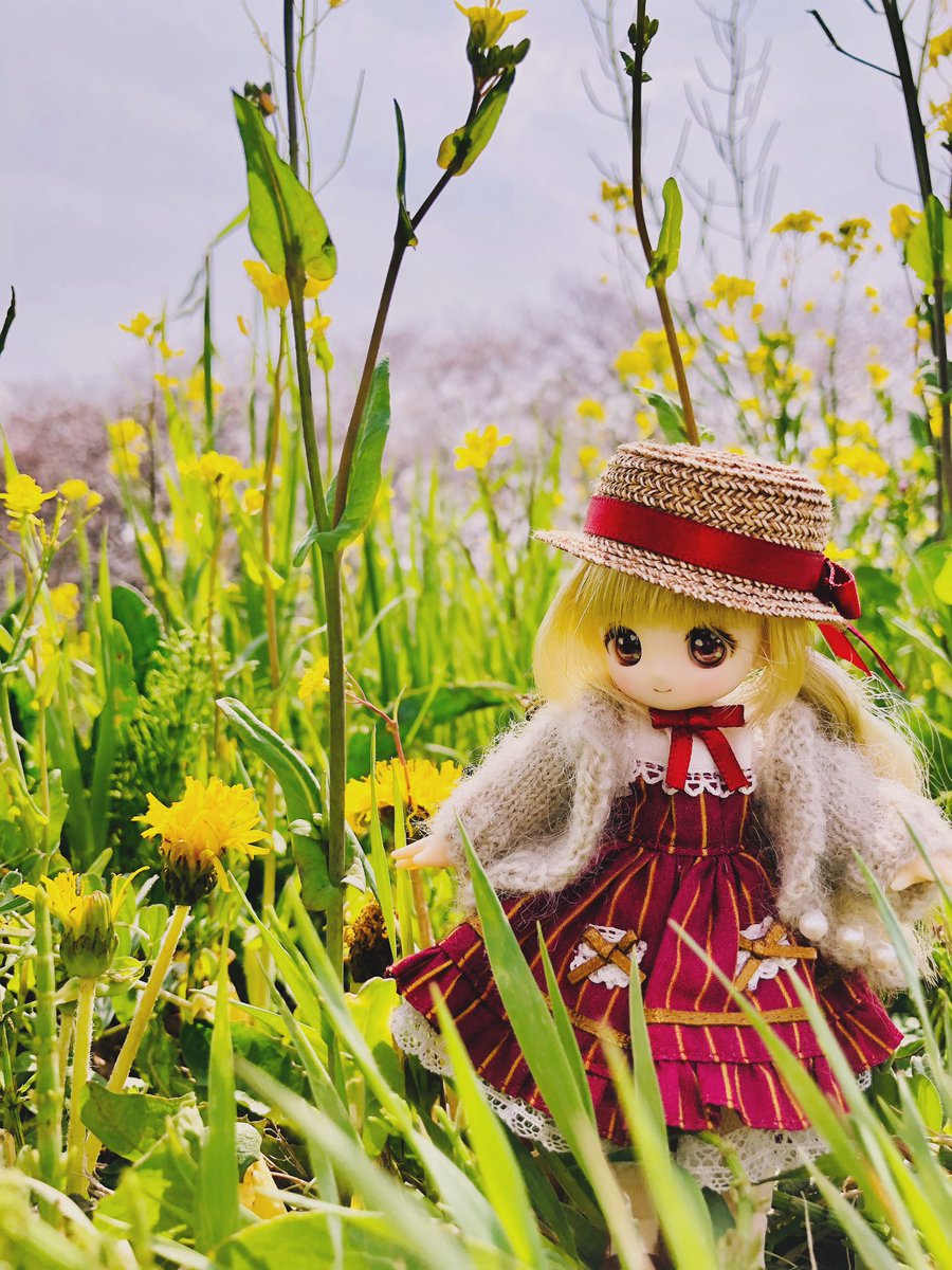 kosame_doll's tweet photo. MDDちゃん、ビスケティーナちゃん、シアルちゃん(オビツ22ボディ)、baby kumakoのオーナーです。
趣味の範囲でメイクしたり服作ったりもします。
ドール仲間ができたら嬉しいです、よろしくお願いします✨
#ドールオーナーさんと繋がりたい 

タグ入らなかったのでリプに繋げます💦→ https://t.co/x4phw3osvd