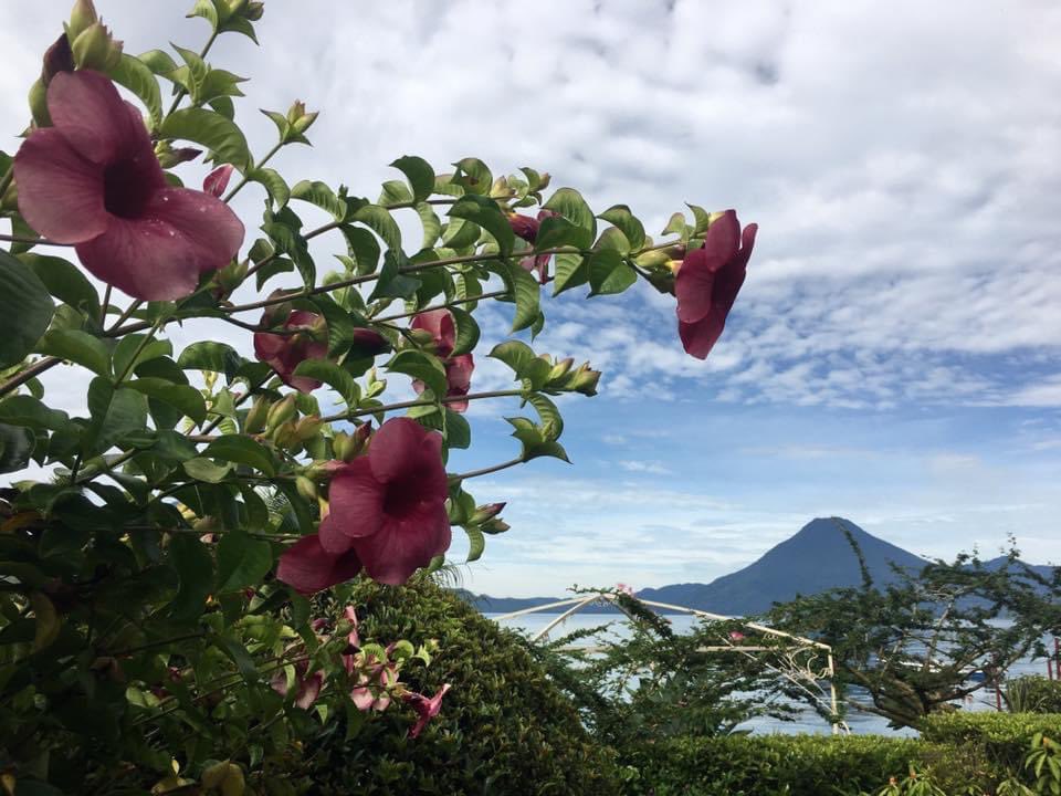 DawnAmsdenStark's tweet photo. @jodi_harrison Lake Atilian, Guatemala https://t.co/4RdLCesijH