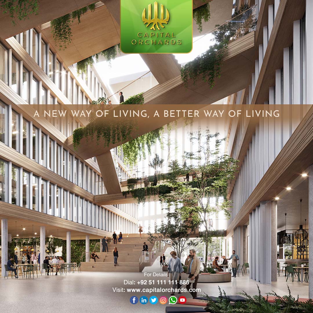 capitalorchards's tweet photo. Our business areas are something from the future.
-
-
-
#capitalorchards #dxb #shaddock #islamabadproperty #islamabad #realestate #property #propertyinvestment #propertyforsale #pakistan #karachi #realestateagent #pakistanrealestate #pakistanproperty #lahore #realestateinvestment https://t.co/U0ERQsB8h4