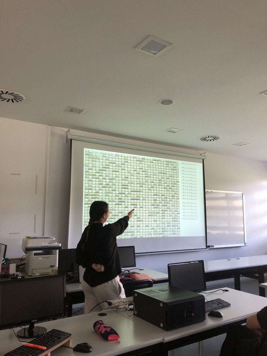 _CIFPponferrada's tweet photo. Alumnos de Desarrollo de Aplicaciones Web en Programación, han desarrollado diversos juegos que ponen en práctica los contenidos de dicho módulo, así como su creatividad #programaciónvideojuegos #desarrolloaplicacionesweb #fp #fpinformatica #fpcyl https://t.co/lT85y2ZodA