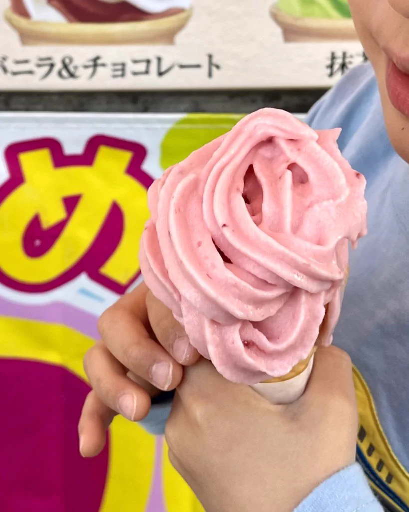 なんて優しい子！ソフトクリームを失敗したお兄さんに４歳児が一言！