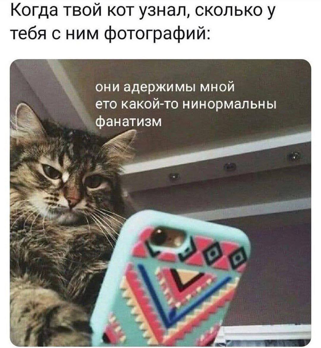 Barking News tweet media