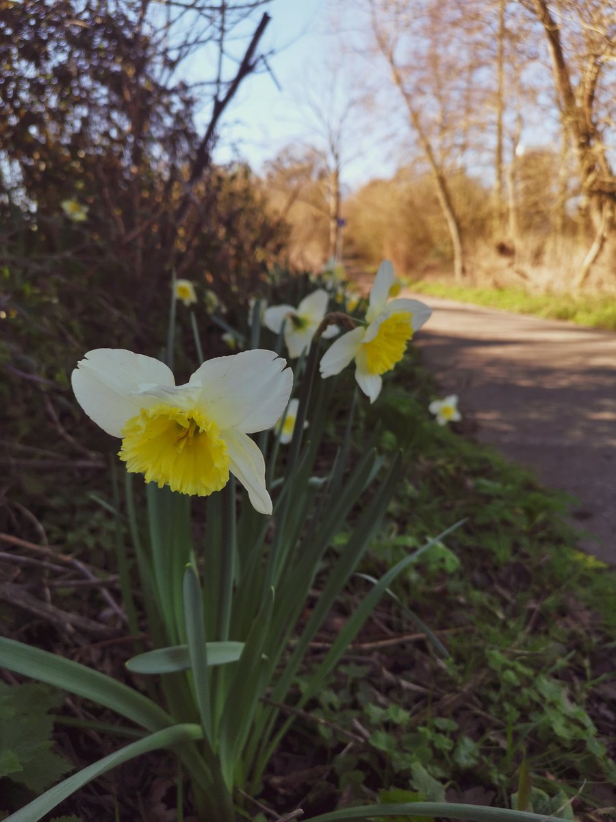 Han | Pages Places & Plates tweet media