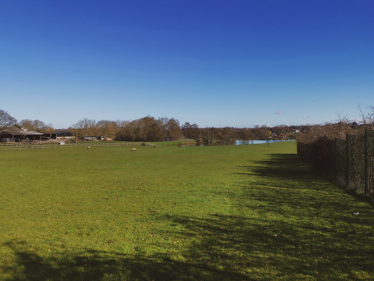 Walked from Brightlingsea to Thorrington today - a 40 min and it was a lovely alternative to waiting for the bus for the same amount of time 🌱🌷 Where have you been exploring to mark the start of spring? #springforward #springtime