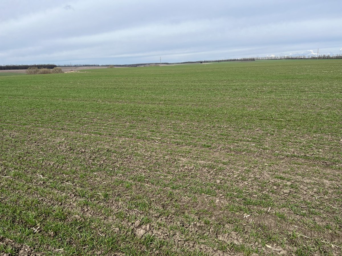 Oleg Levchenko on Twitter "Ukraine Wheat todays trip of 400 km south