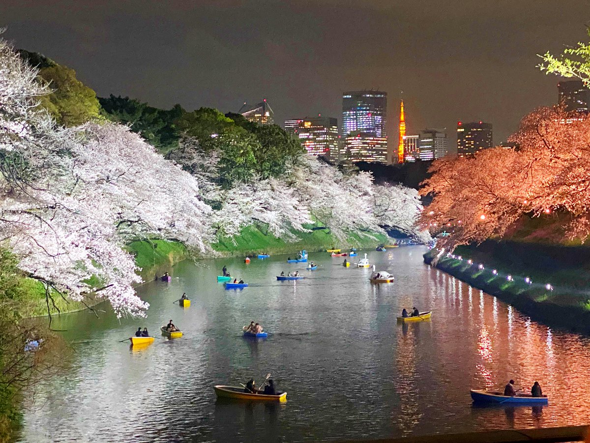 keeeeta0813's tweet photo. 2023🌸 https://t.co/9j19RE4iNR