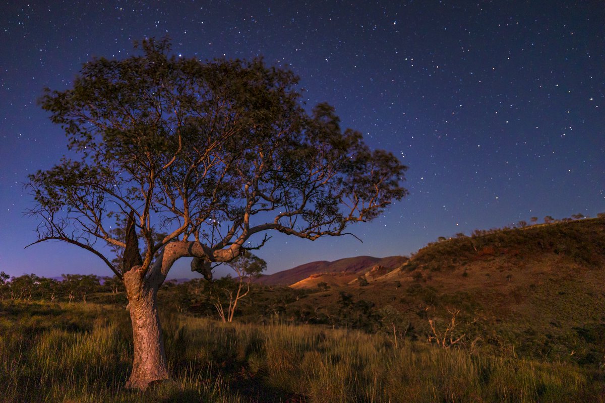 Moonlight paradise 🌕.

#pilbara #moonlight #nightscape #desert #westernaustralia #astrophotography #photography #landscapephotography #gothere #canonaustralia #3leggedthing #nisifiltersanz #shimodadesigns #kuhl #sandiskapac #raw_community #naturegang #elitepix