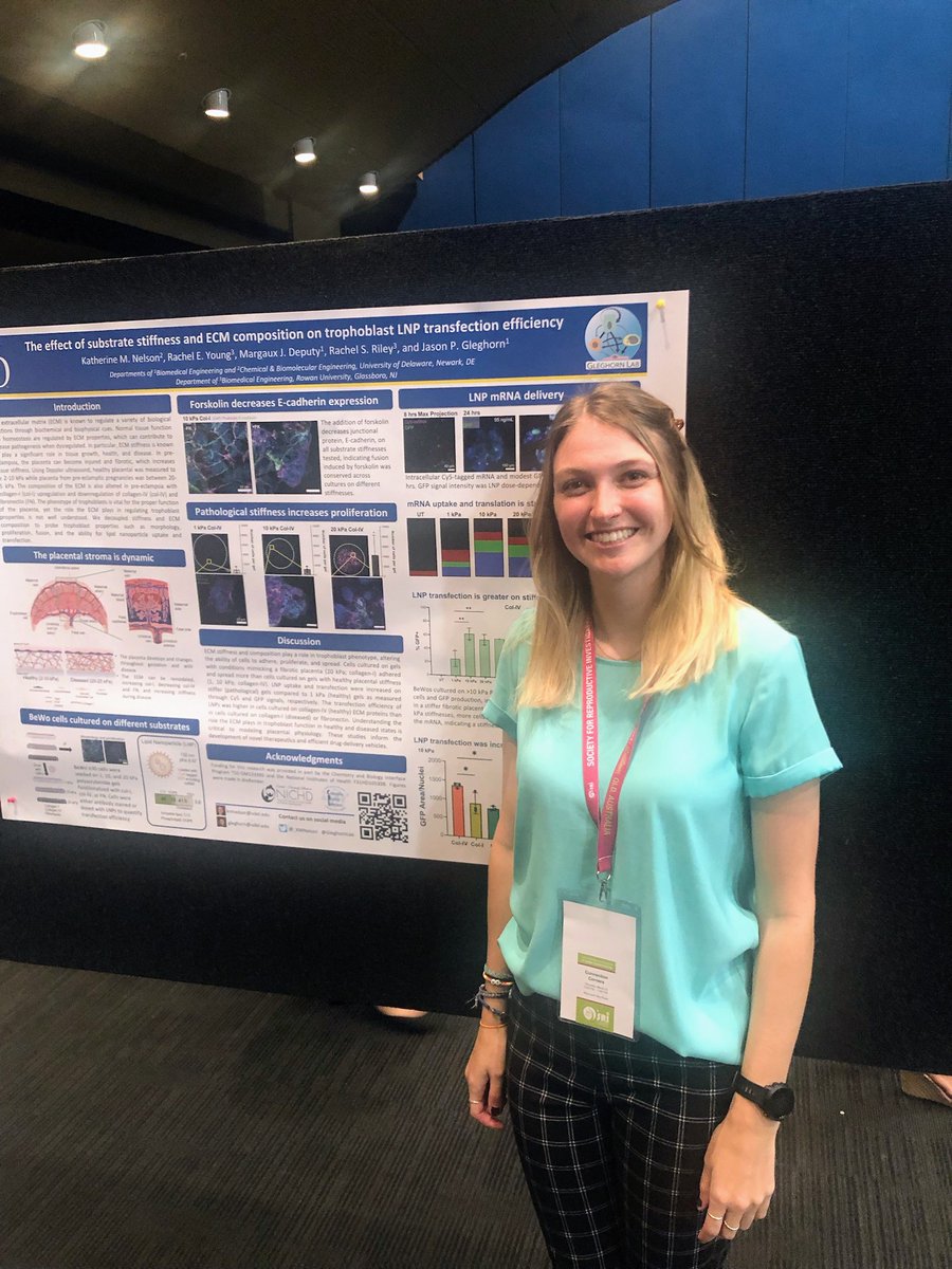 GleghornLab's tweet photo. Congrats to @_KMNelson for an @SRIWomensHealth meeting poster award about our work on how biomechanical &amp; biochemical cues, such as those in preeclampsia, affect drug delivery to the placenta. Spoiler: they do! It's an exciting collab w/ @RRileylab -- more to come! @udbme https://t.co/aFmOuHJQfO
