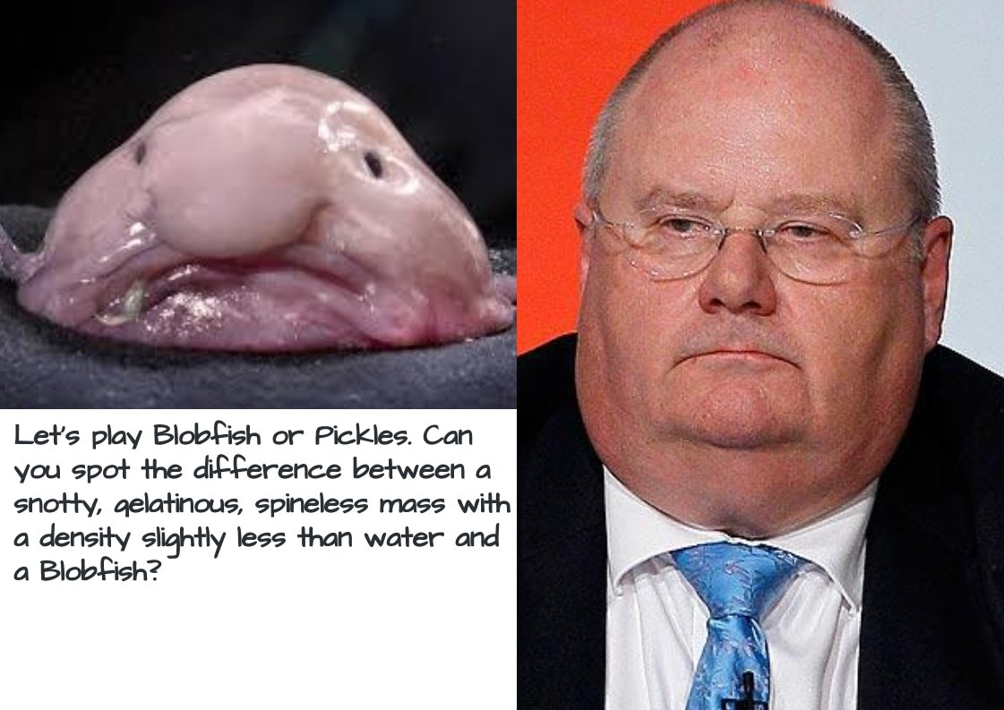 @plymuffmartin @Saccaguru @Trickcyclist3 Always happy for an excuse to dust off this tweet.

No offence to blobfishes.