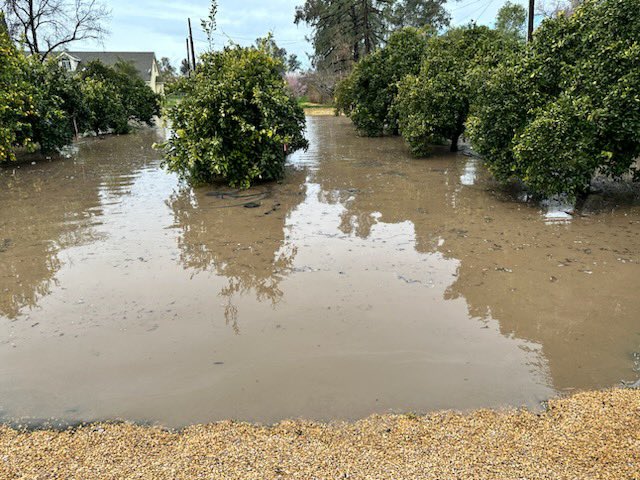 Tulare County Farm Bureau tweet media