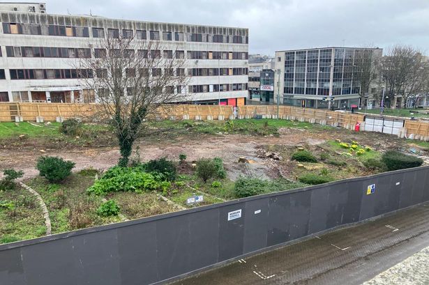 The shady gardens in Plymouth's #ArmadaWay were so welcome in hot weather and transformed the centre of the city. Now it's a wasteland. No wonder #Bingley's resigned after secretive nighttime clearance without public consultation
theguardian.com/uk-news/2023/m…