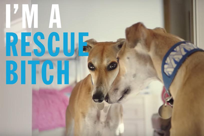 SMAgencyUK's tweet photo. Battersea Dogs Looks for a New Creative Agency
The UK is a nation of dog and cat lovers but after Covid-19, spiralling inflation &amp; food costs some owners have been forced to give up their beloved pets..https://t.co/jA9gMFzQYd #animallovers #marketingagency  @Battersea_ https://t.co/y8QKZk9wwE
