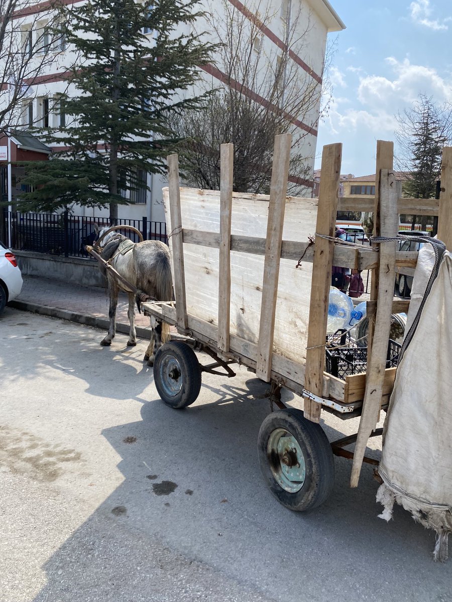 Araba boylemi park edilir arkadas ya