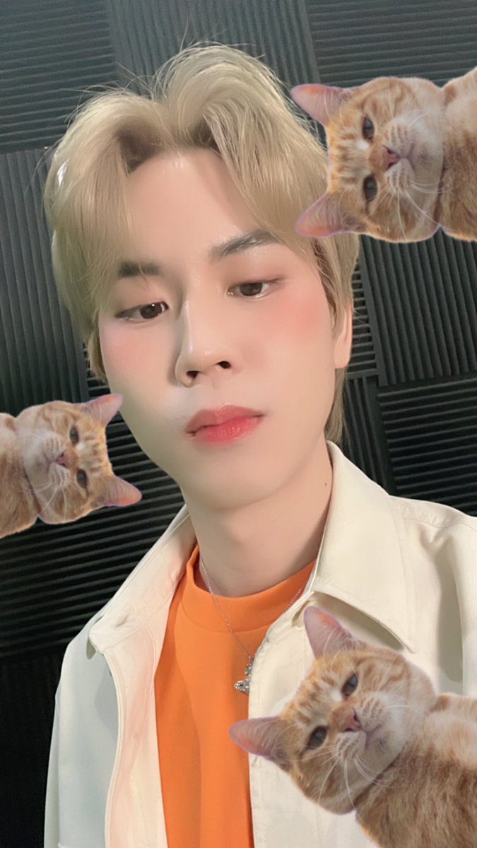 Prem_space's tweet photo. มีแมวกี่ตัว มีกระต่ายกี่ตัว มีคนเท่กี่คน #SulwhasooxPrem https://t.co/D0MeWSWACZ