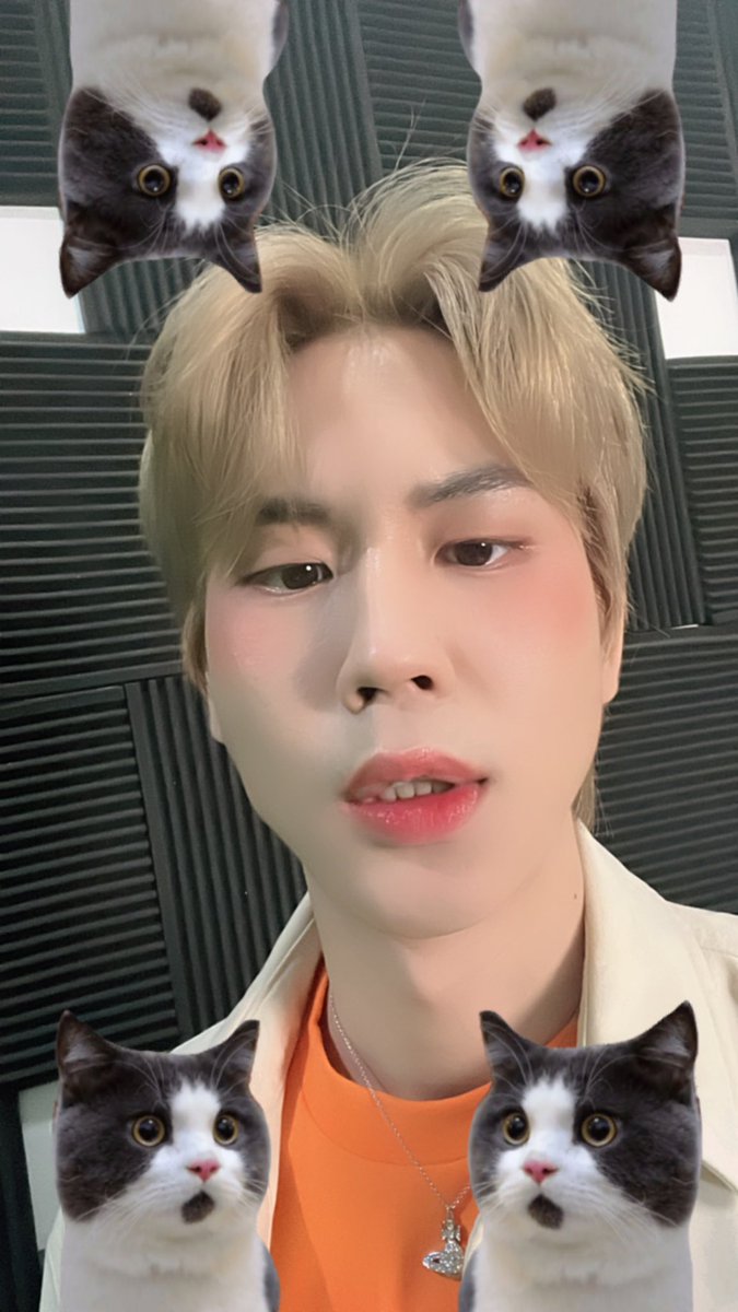 Prem_space's tweet photo. มีแมวกี่ตัว มีกระต่ายกี่ตัว มีคนเท่กี่คน #SulwhasooxPrem https://t.co/D0MeWSWACZ