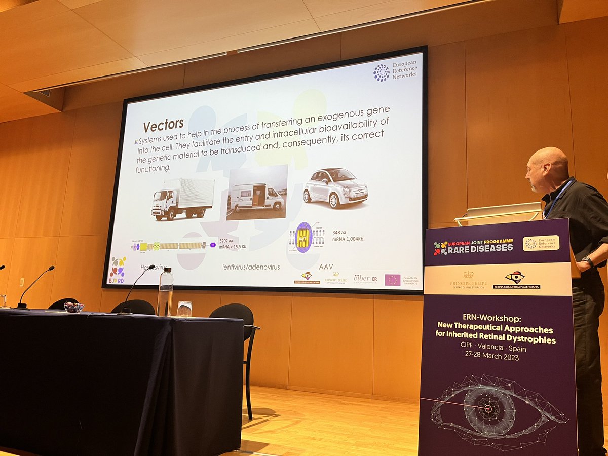 AnaPilarGomez's tweet photo. Talk 4 #ERNworkshop #retinaldystrophies
Dr. Chema Millán from @IISLaFe @HospitalLaFe @CIBERER drives an update of the lastest advanced therapeutical approaches for IRD
@CIPFciencia @ReginaRodrigo_ @monkeyplatillos @FEDER_ONG @RetinaMurcia @retiprotek https://t.co/VU2M2W8193