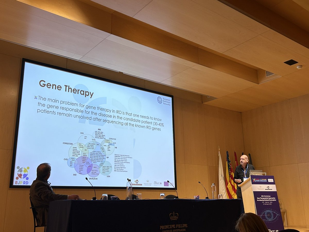 Jandritu's tweet photo. Second part of the #ERNworkshop #EJPRDworkshop with talks on Genetics, overview on Gene(tic) Therapies and vectors as well as visual prostheses. #retinaldiseases #therapies #IRD https://t.co/iTmz7cp7pm