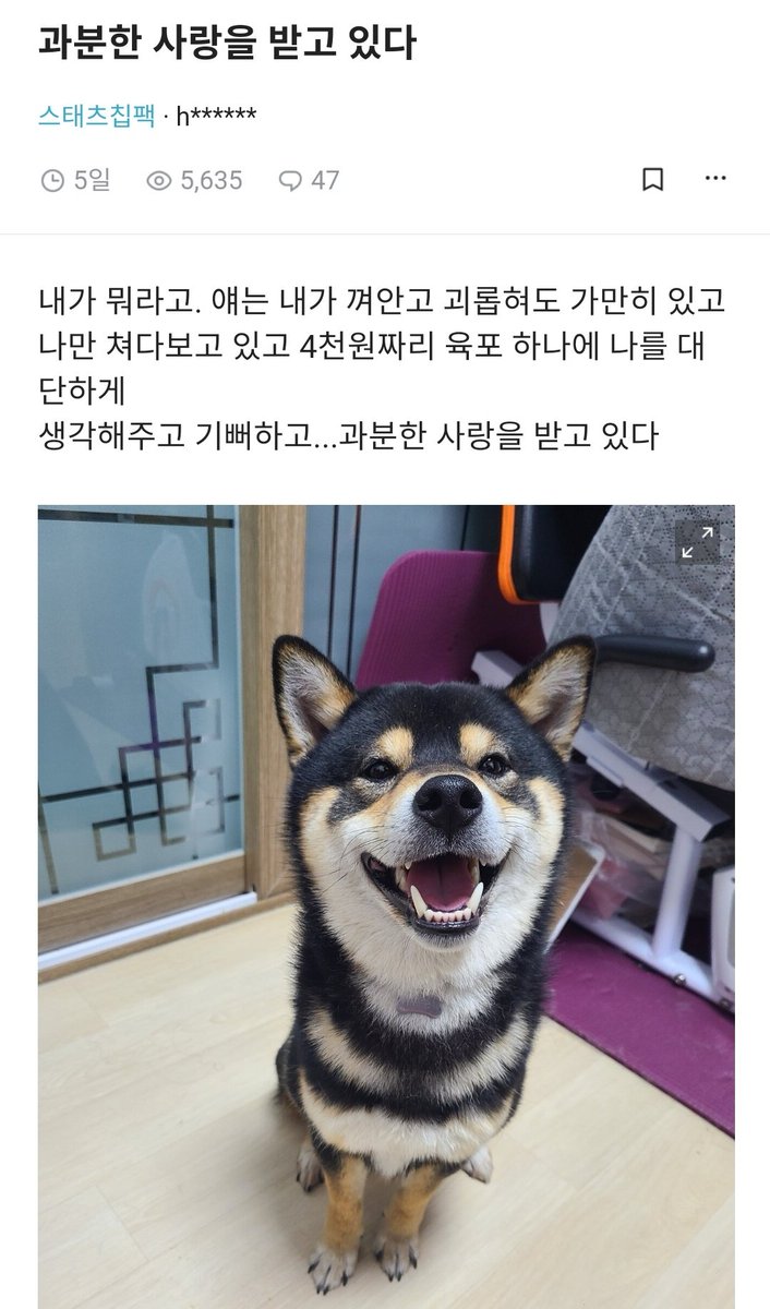 healing_storage's tweet photo. 과분한 사랑을 받고 있다 https://t.co/hs60F9Z1oV