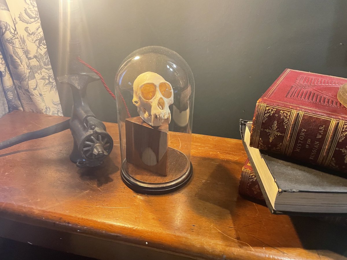 ShahzadyLaw's tweet image. Lovers in life, in death not parted. I have you in mind ⁦@DrLindseyFitz⁩ and ⁦@lucyctalbot⁩ #fundaysout - Highgate Cem next!!!