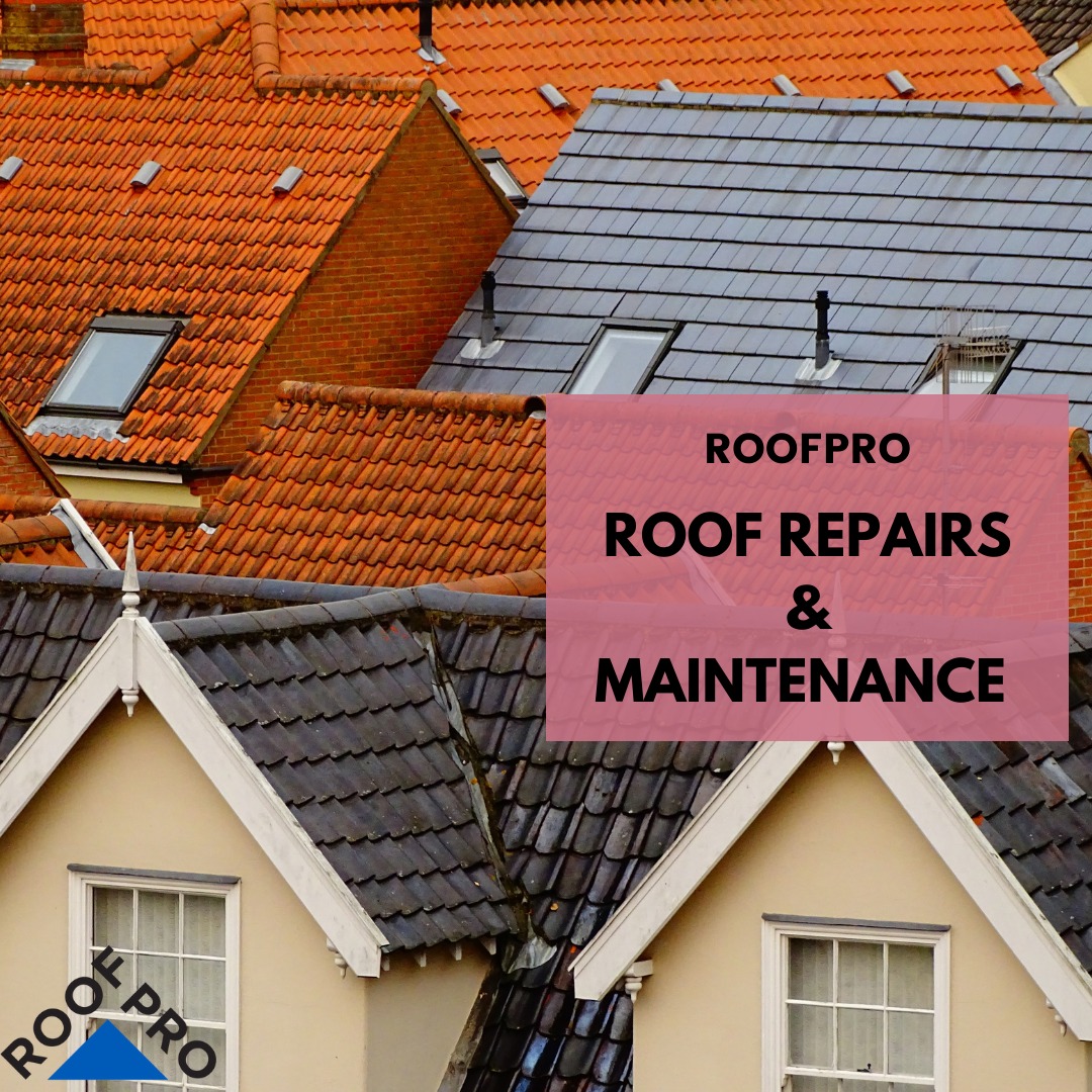 roofproldn's tweet photo. Whether it's a domestic or a commercial property, if you need repairs or maintenance for your roof our professionals at Roofpro have the skills and experience to get the jobs done.
Find out more - https://t.co/fv5KHkcDpz https://t.co/kBAHTFSq2A