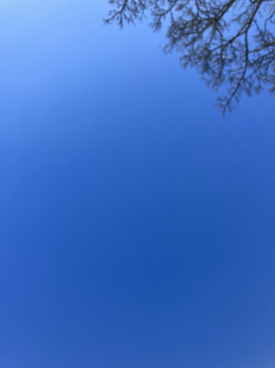HPBCLeeds's tweet photo. All blue skies above Hyde Park

Have a beautiful day Leeds (and beyond) 😍

If you need a coffee on us, or to treat a friend, pop a DM ☕️☕️☕️

#Leeds https://t.co/0PFrDdYDTl