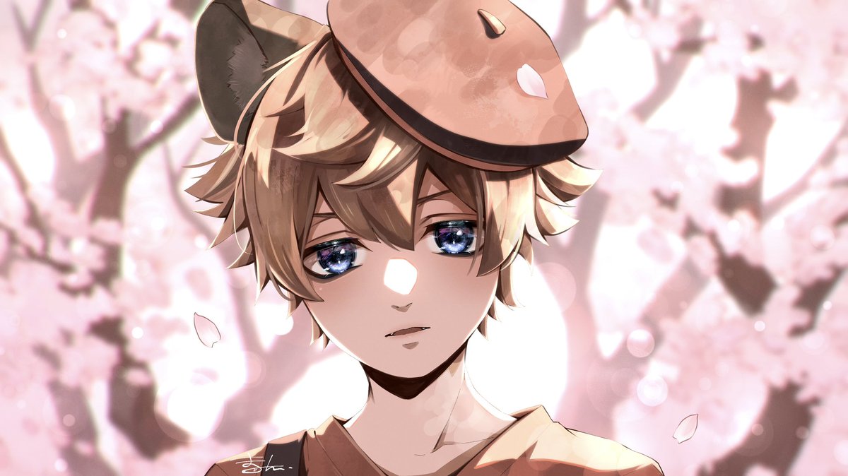 1boy male focus blue eyes animal ears hat solo cherry blossoms  illustration images