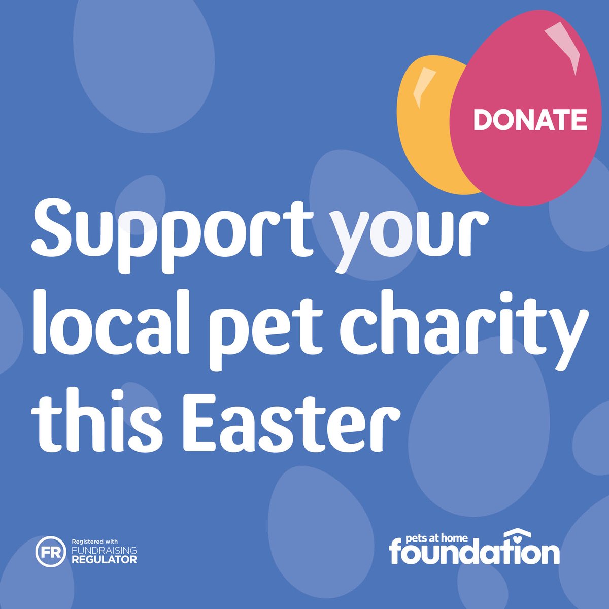 petsfdtnuk's tweet image. Our #EasterAppeal starts one week from today! 

Our new fundraiser is running in all @PetsatHome stores from 3rd April - 10th April and will support pets and the people who love them across the UK. 

We’ll keep you updated on how you can donate!