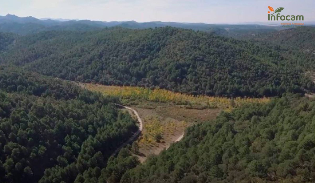 Plan_INFOCAM's tweet image. Esta semana se esperan altas temperaturas y escasas precipitaciones en toda #CLM ☀️🌡️

Máxima precaución en cualquier actividad en el campo o la montaña 🚜🏕️ 

#EsTareadeTodos evitar #IIFF 🔥🔥 y cuidar el medio natural 🌳 - 9 de cada 10  son evitables -