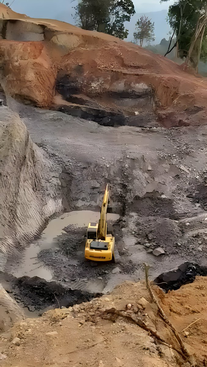 DEVAJIT MORAN #IAmDehingPatkai #Protectmetoo tweet media