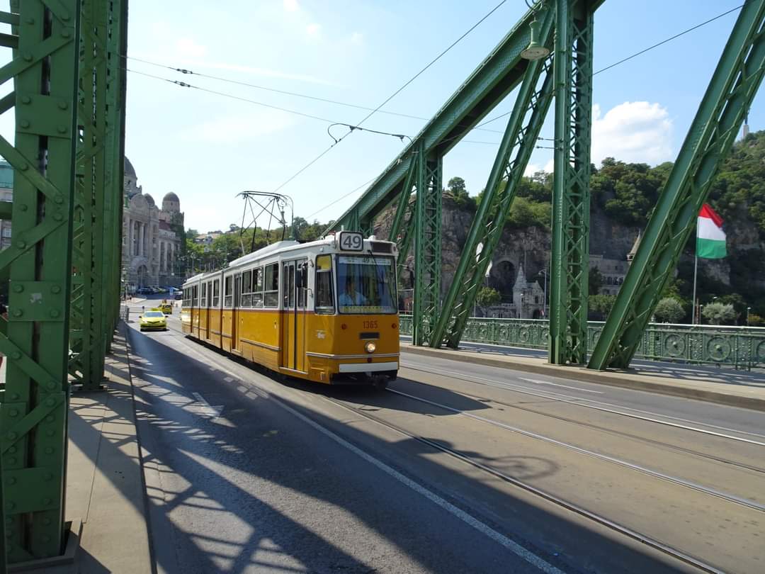 skymanuelima's tweet photo. A #Ponte_da_Liberdade (#LibertyBridge) é a ponte mais curta do centro de #Budapeste, na #Hungria. Inicialmente construída como parte da Millennium World Exhibition no final do século 19, a ponte apresenta um design art nouveau. #travelphotography #viagens #FotógrafoAmador https://t.co/6vS0pINGFs
