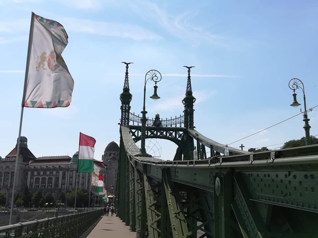 skymanuelima's tweet photo. A #Ponte_da_Liberdade (#LibertyBridge) é a ponte mais curta do centro de #Budapeste, na #Hungria. Inicialmente construída como parte da Millennium World Exhibition no final do século 19, a ponte apresenta um design art nouveau. #travelphotography #viagens #FotógrafoAmador https://t.co/6vS0pINGFs