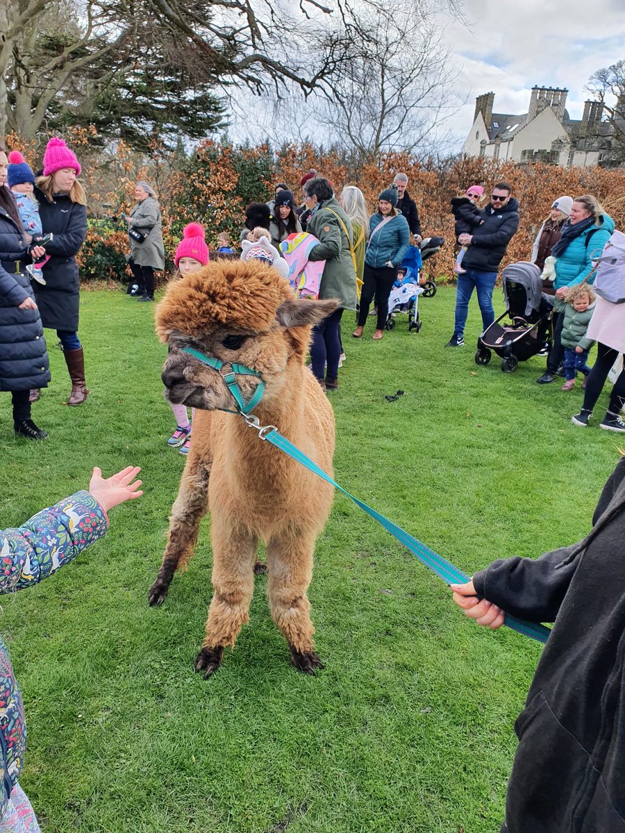 wintoncastle's tweet photo. A big thank you to everyone who came along and supported our open day yesterday, the Winton team really appreciate it.🙏 ⁦@scotgardens⁩ ⁦@JohnMuirAlpacas⁩ ⁦@lucaicecream⁩ ⁦@GlenkinchieMalt⁩ ⁦@WintonBrewery⁩ https://t.co/r8JhVneGr9