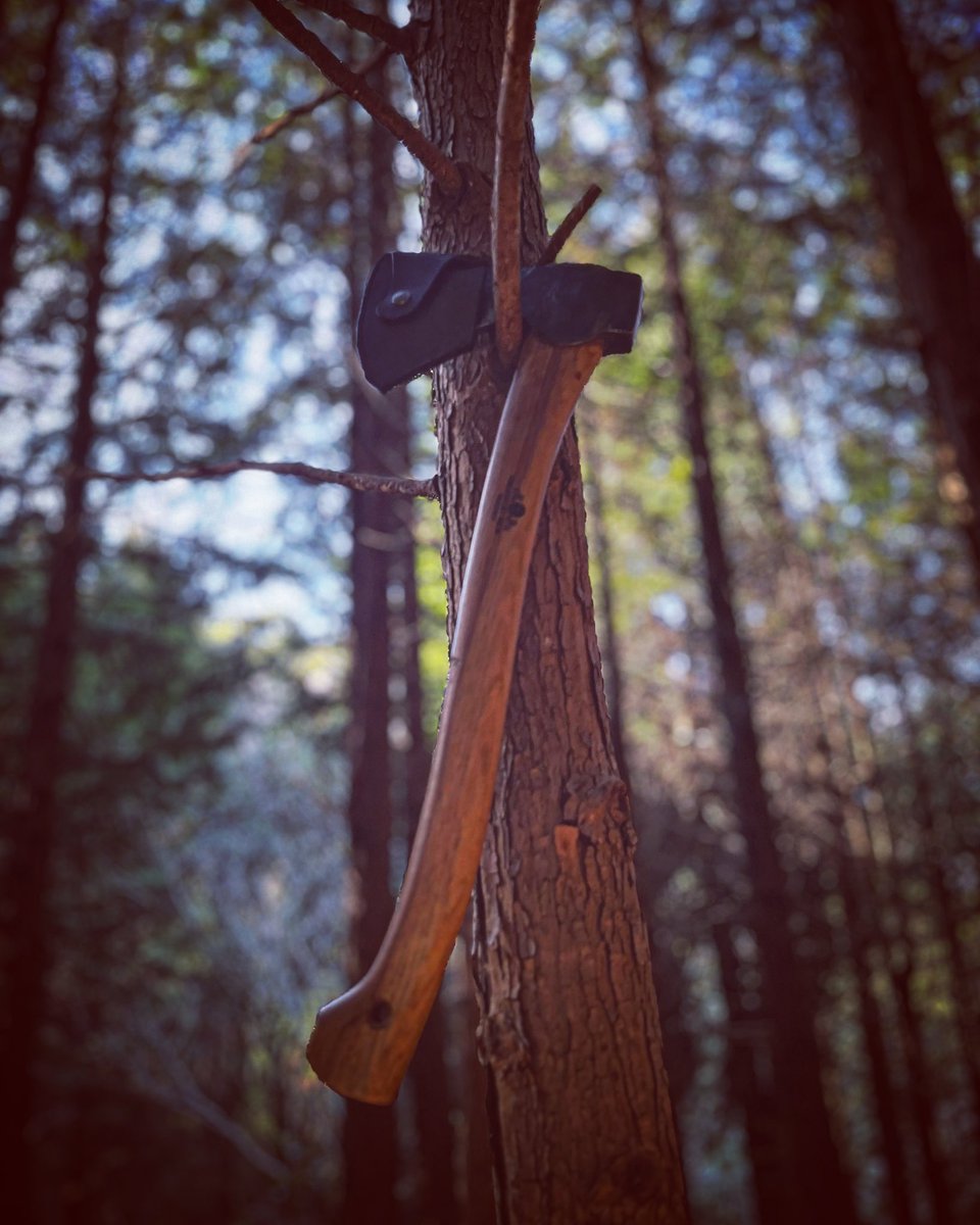tetsucamp013502's tweet photo. 野営には欠かせない絶対的なAXE🪓
@gransforsbruk
#smallforest https://t.co/8SDLA10H4p
