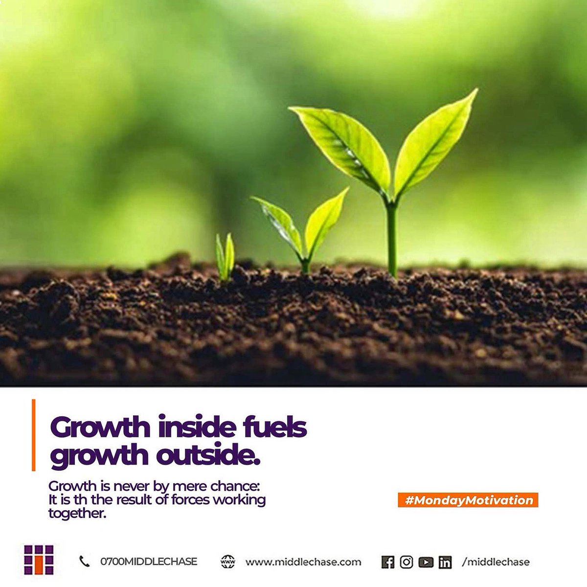 IamMiddlechase's tweet photo. Don’t forget to apply more pressure today. 

Have a productive and prosperous week💜
.
#middlechase #rentalincome #everydaycashflow #propertydeveloper #mondaymotivation #rentalproperty #realestate #lagos #nigeria https://t.co/TaCPVYjLVx