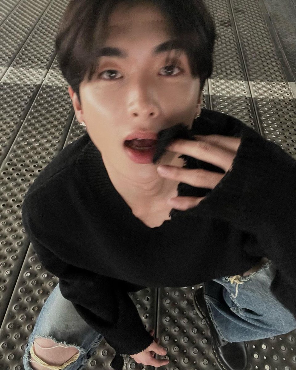 (REST) 비글미🪐Beagle&Me tweet media
