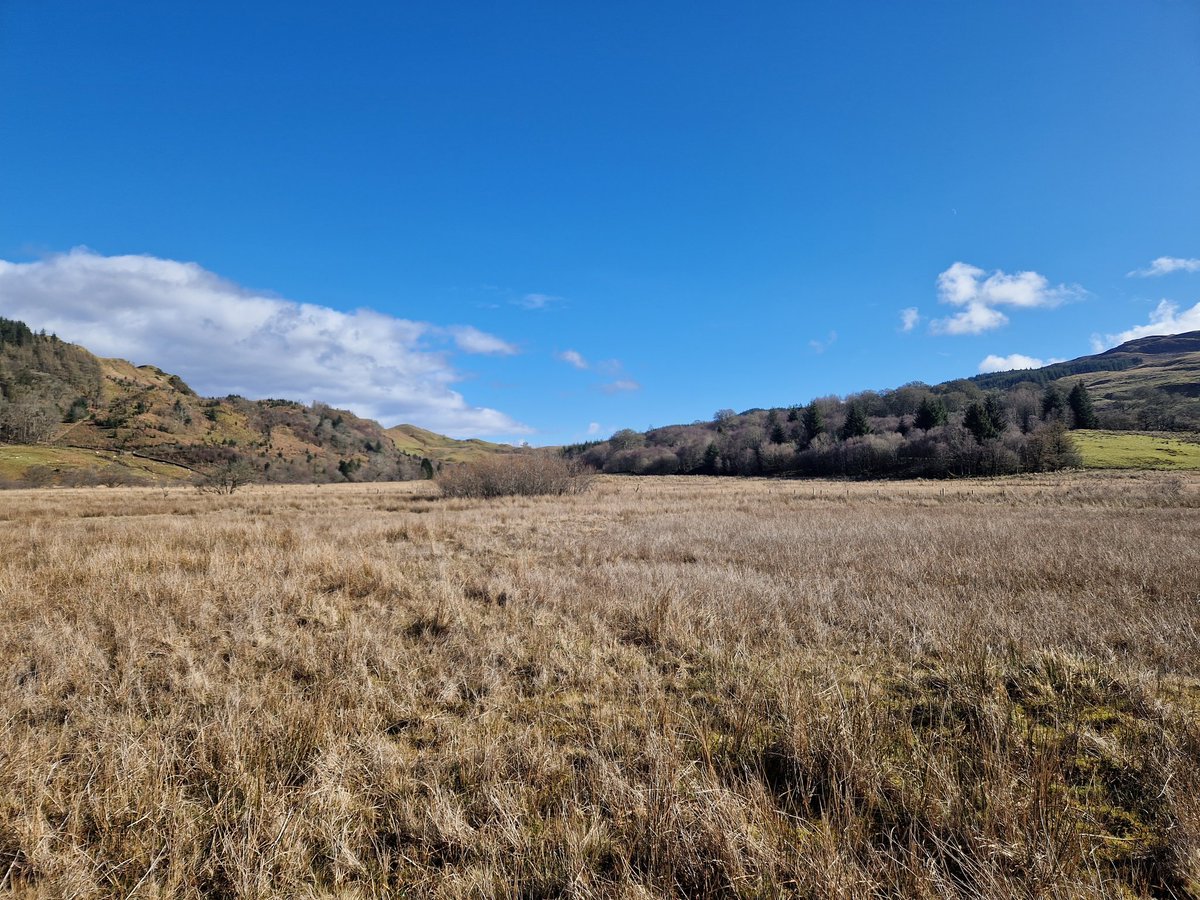 AnnaBeckett98's tweet photo. Yesterday was a new addition to the MSc Glen Roy trip - we went to a new site for my PhD to get some preliminary cores! https://t.co/UNQFrnsJbk