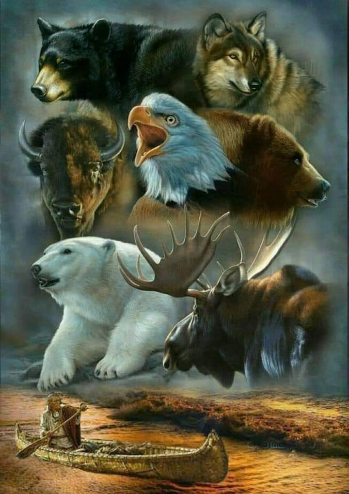 standingrock68's tweet photo. Hihanni Wasté Good Morning My Beautiful Sister's and Brother's Nomatter What It's Gonna Be A Beautiful Day https://t.co/hzzt0QE9rd