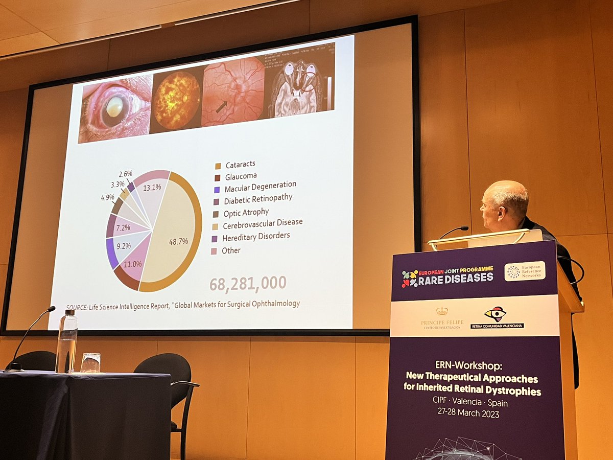 AnaPilarGomez's tweet photo. Talk 5 #ERNworkshop #retinaldystrophies
Dr. Eduardo Fernández from Miguel Hernandez University @CIBERBBN explains the non-viral vector for gene therapy and the electrical stimulation of retina using neuroprothesis
@CIPFciencia @ReginaRodrigo_ https://t.co/WmA6GZKpPG